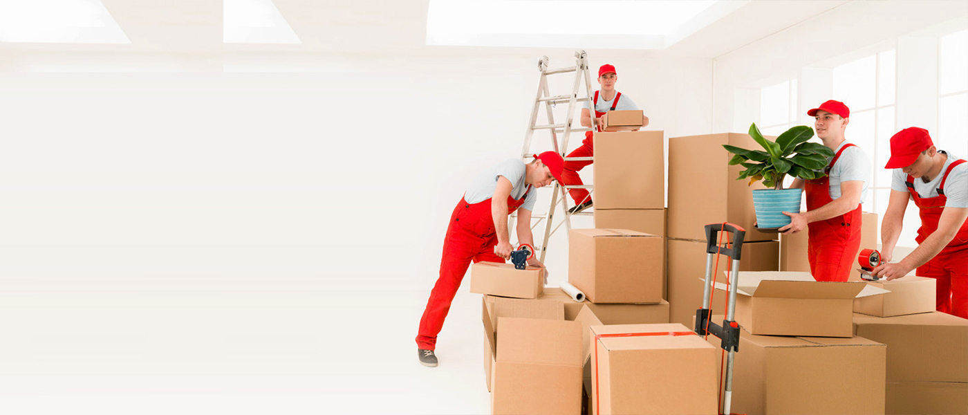 Sakarya Evden Eve Nakliyat